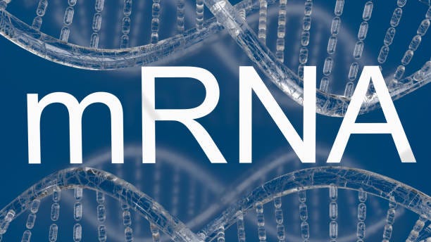 the mrna or messenger ribonucleic acid white text for medical or outbreak concept 3d rendering - mrna vaccine bildbanksfoton och bilder