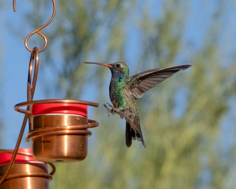 20240911-MBY-208-Edit.jpg