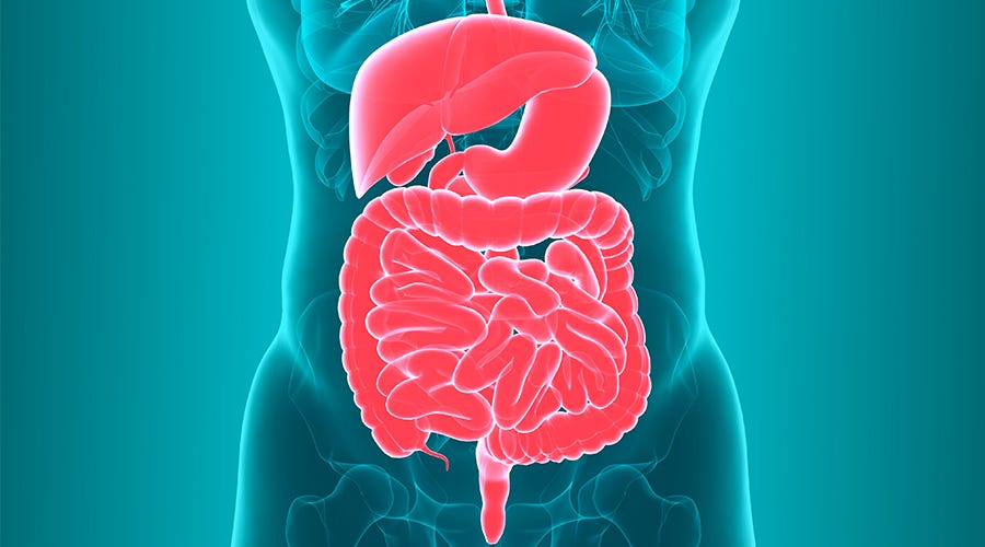 Optimize Your Digestive Health: Expert Tips for Maintaining a Healthy Gut  Microbiome - Dr Ram Chandra Soni