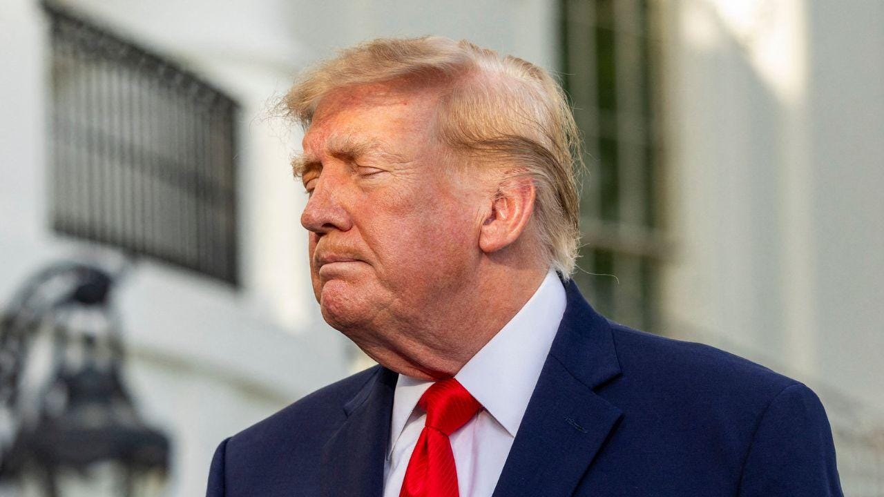 picture of Donald Trump