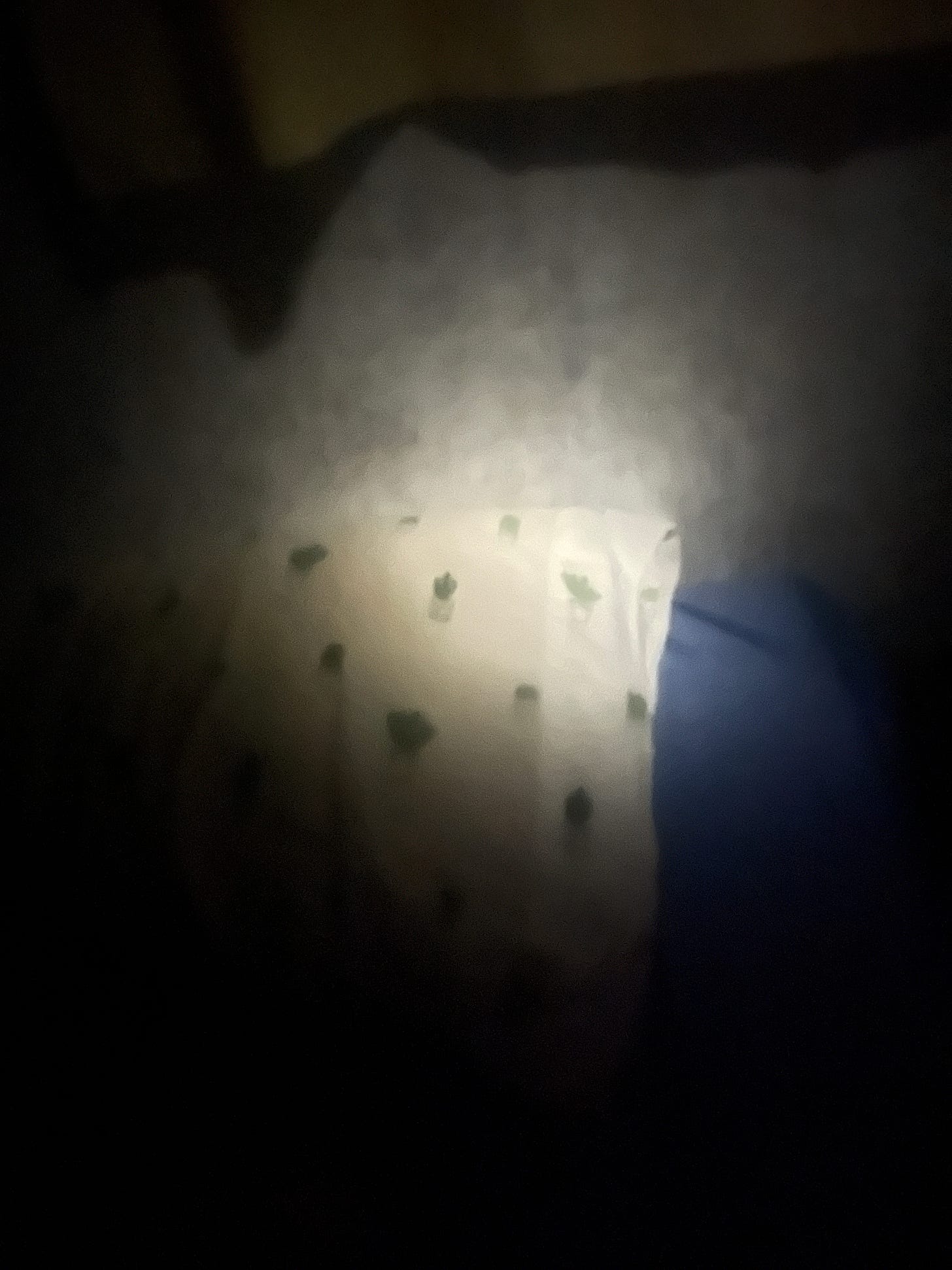 A very blury photo of a beam of light landing directly on Erin's pillow