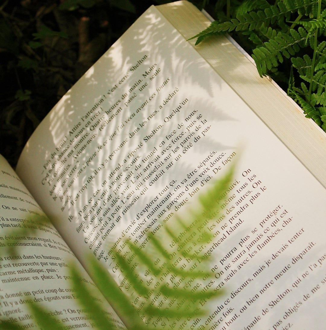 An open book is enhanced by fern shadow.