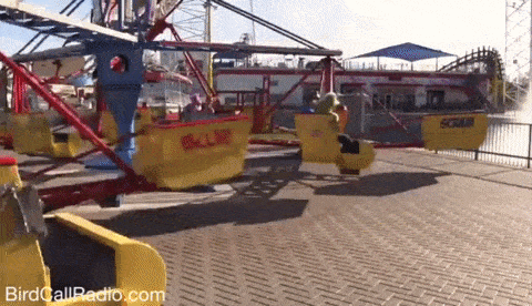 Favorite summertime carnival ride …go! : r/Xennials