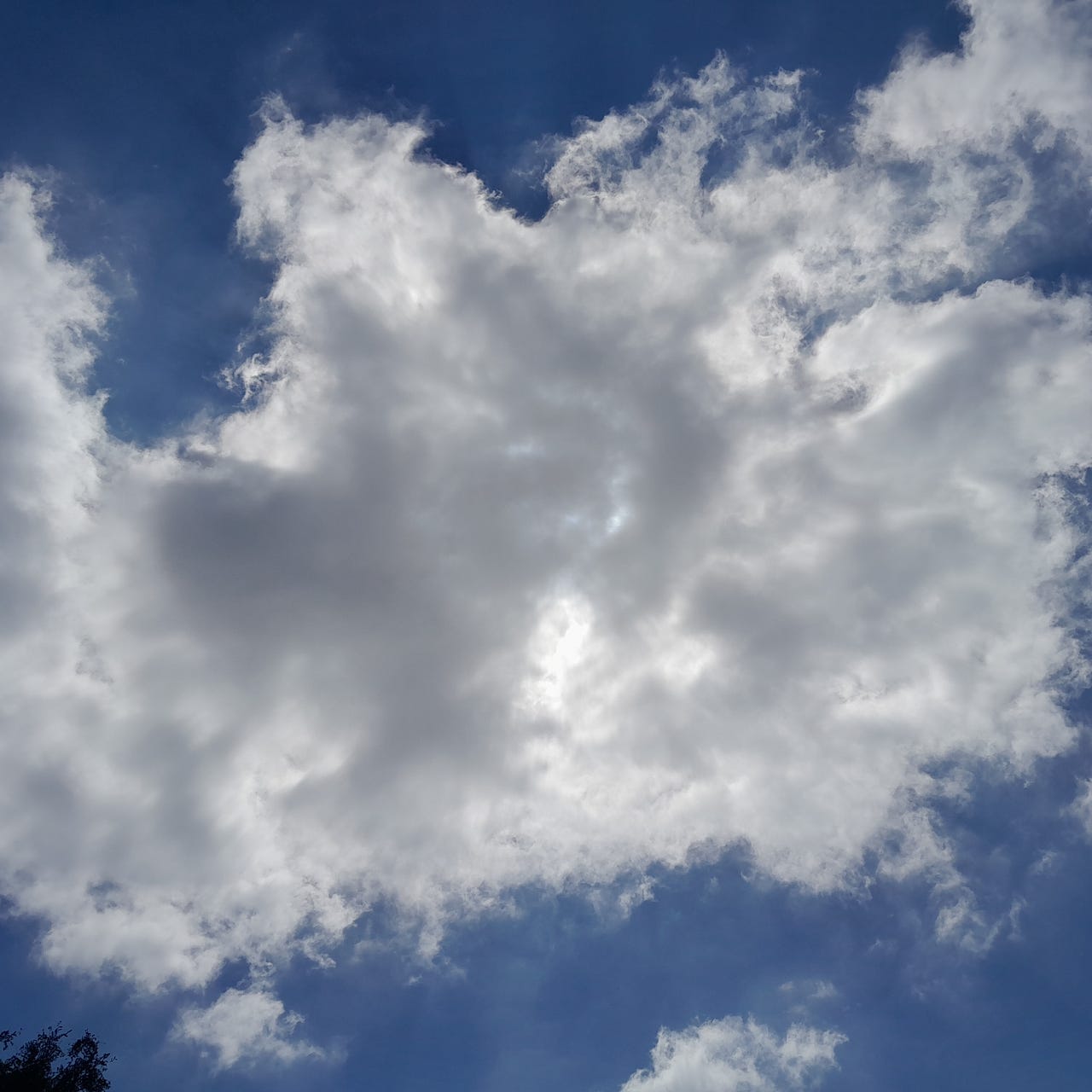 Found In Translation