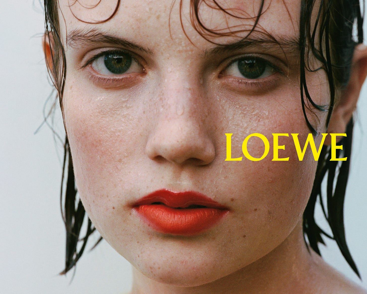 LOEWE | New Beginnings