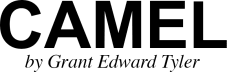 Camel by Grant Edward Tyler