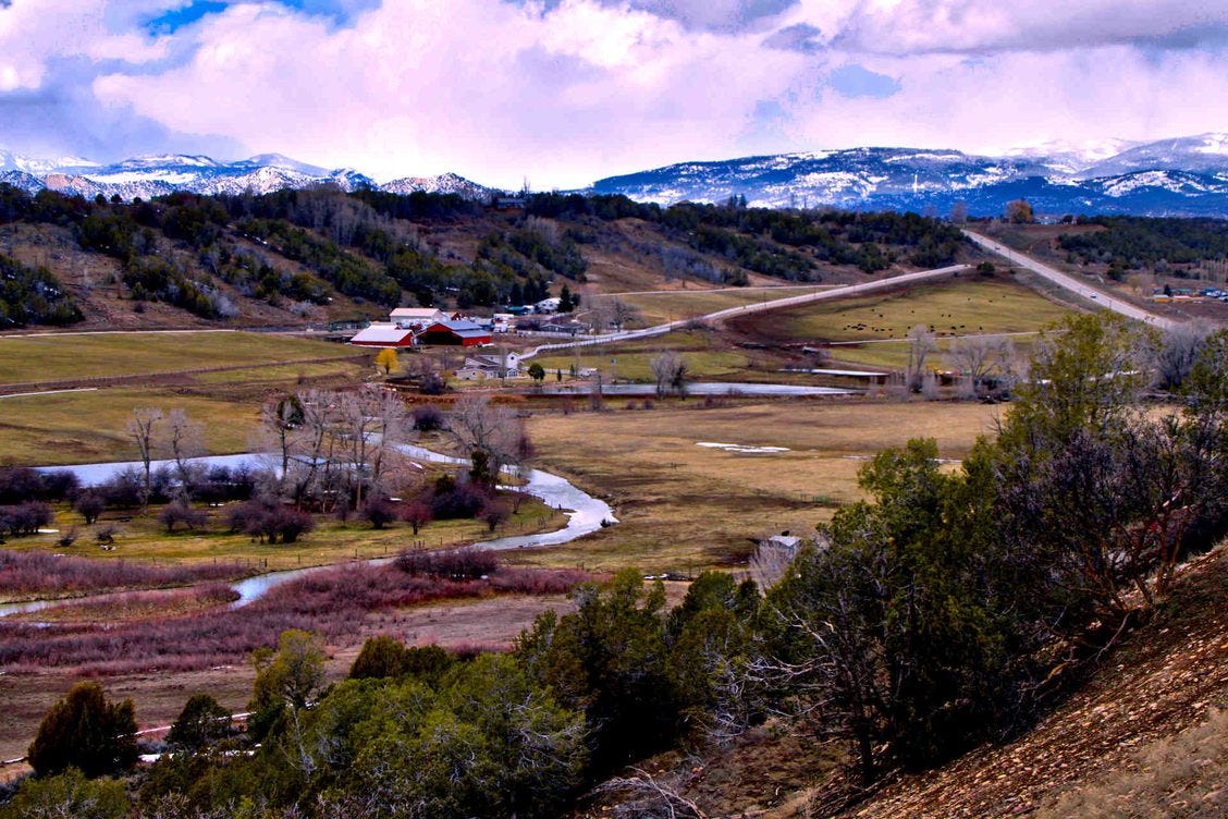 Nature journal of prairie dog