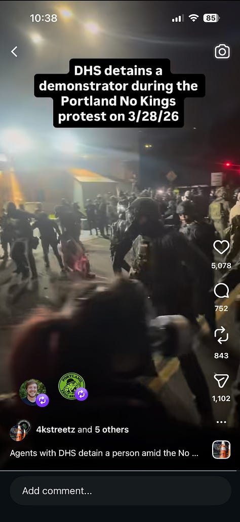 9 screen grabs from video showing ICE agents pursuing, hitting, and detaining protester in pink frog costume. The last three images show agent brandishing gun at bystanders.