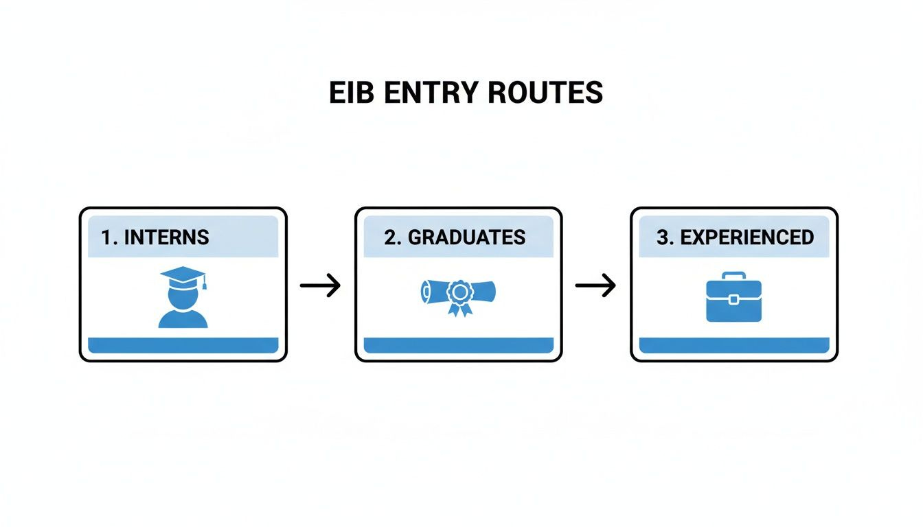 EIB entry routes diagram showing paths for interns, graduates, and experienced professionals.