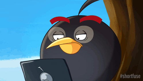 a cartoon of an angry bird looking at a laptop computer a cartoon of an angry bird looking at a laptop computer