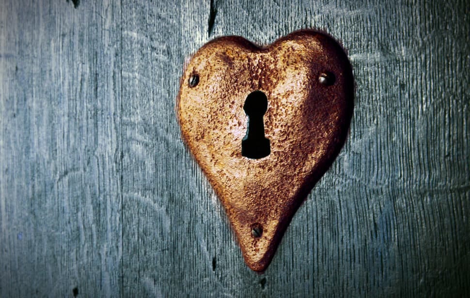 What is Real Love? | Discovery Series