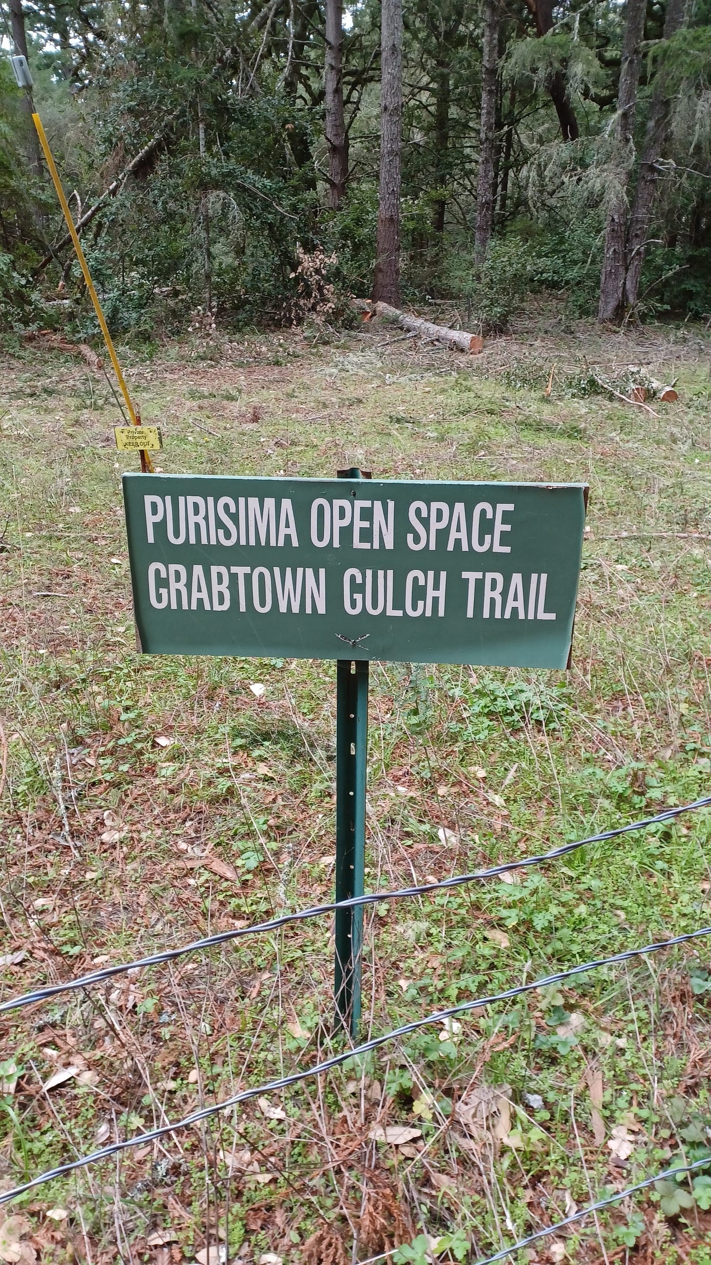 A week-long guide to San Francisco