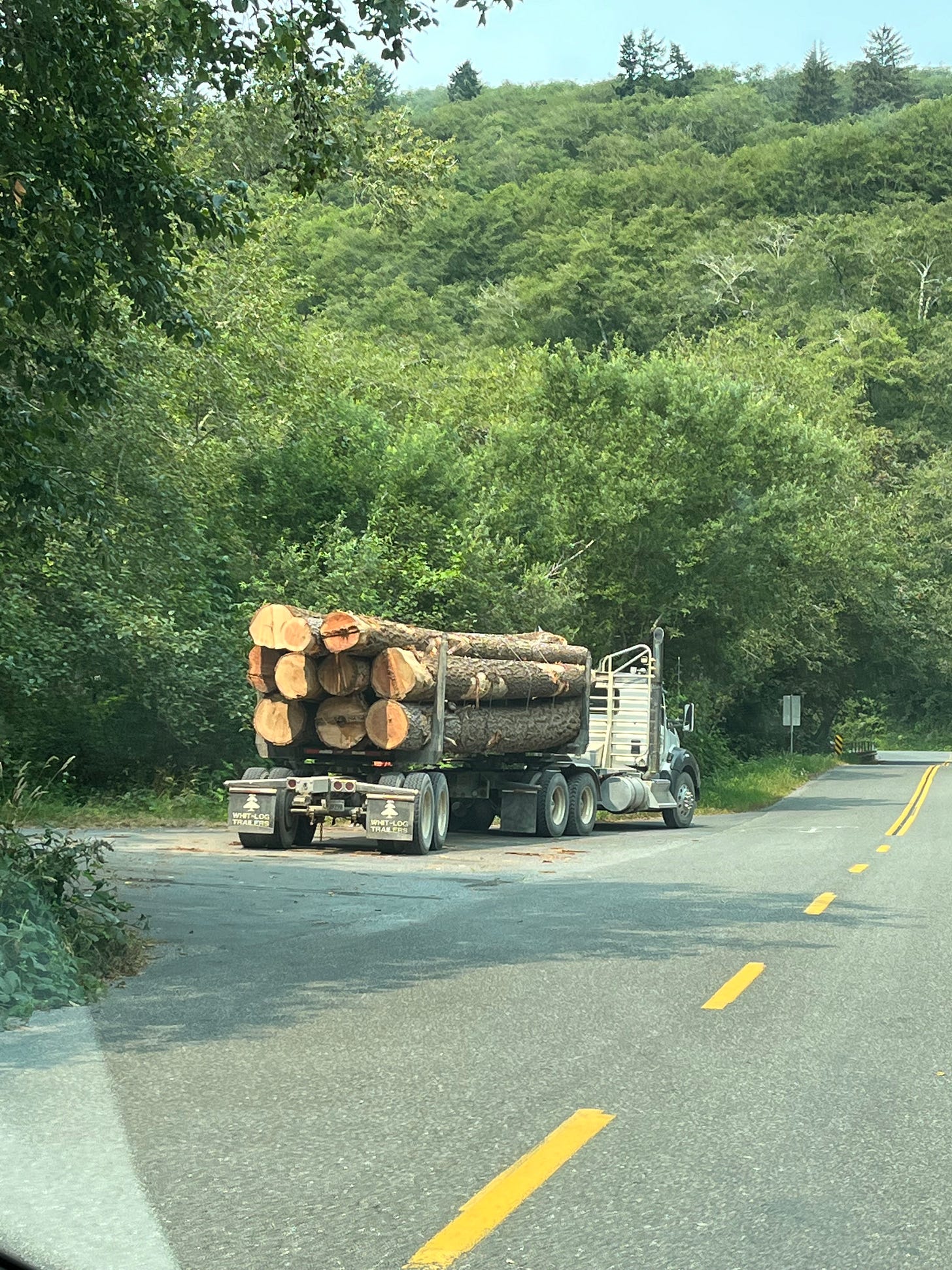 Logging truck