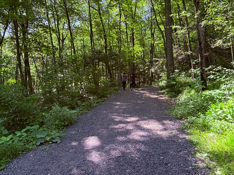 gravel, trees, trail, bench, signs