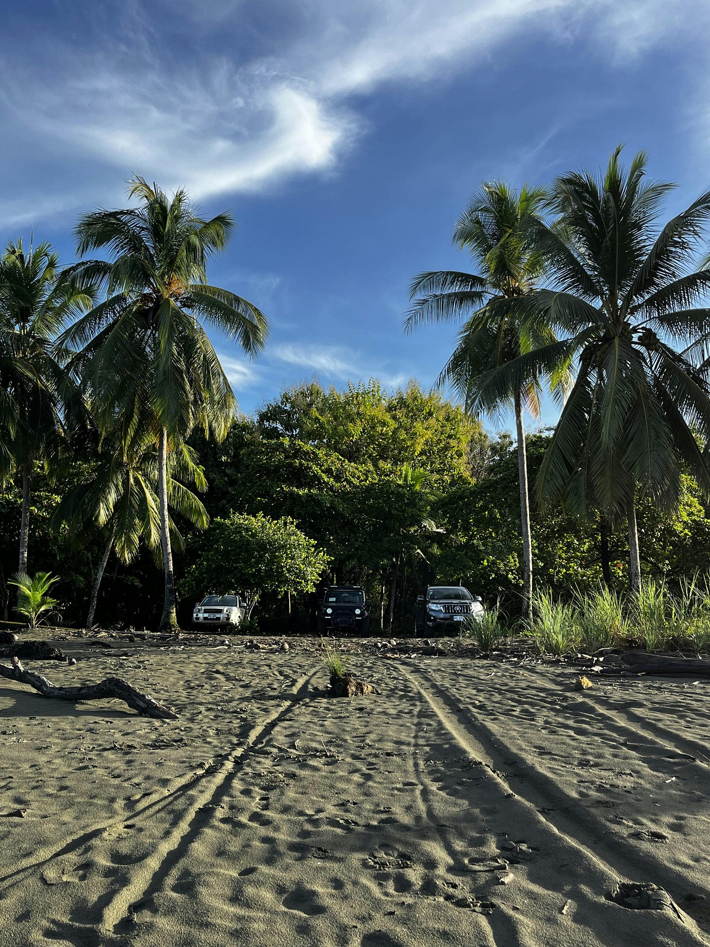 037: Loving What You Have, Having What You Love! 037: Loving What You Have, Having What You Love!