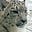 TrackCat's avatar