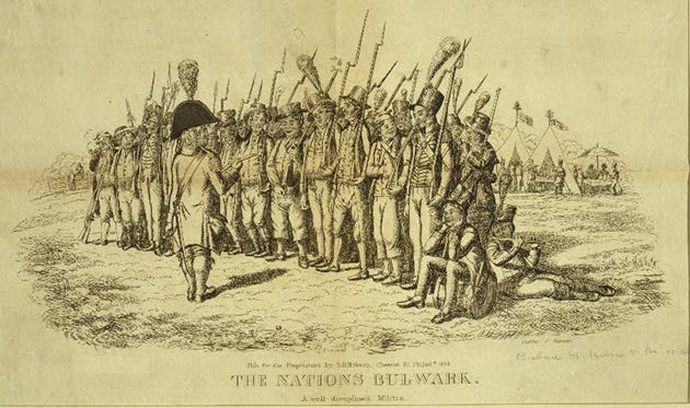 The Militia and Public Arms Act of 2025