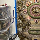 Kat Ryals thinks like a project manager