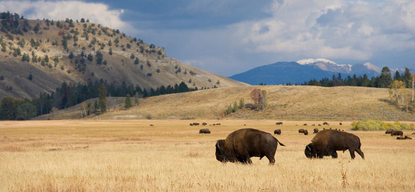 Buffalo Plains Group | Rapid City, SD | Morgan Stanley Wealth Management