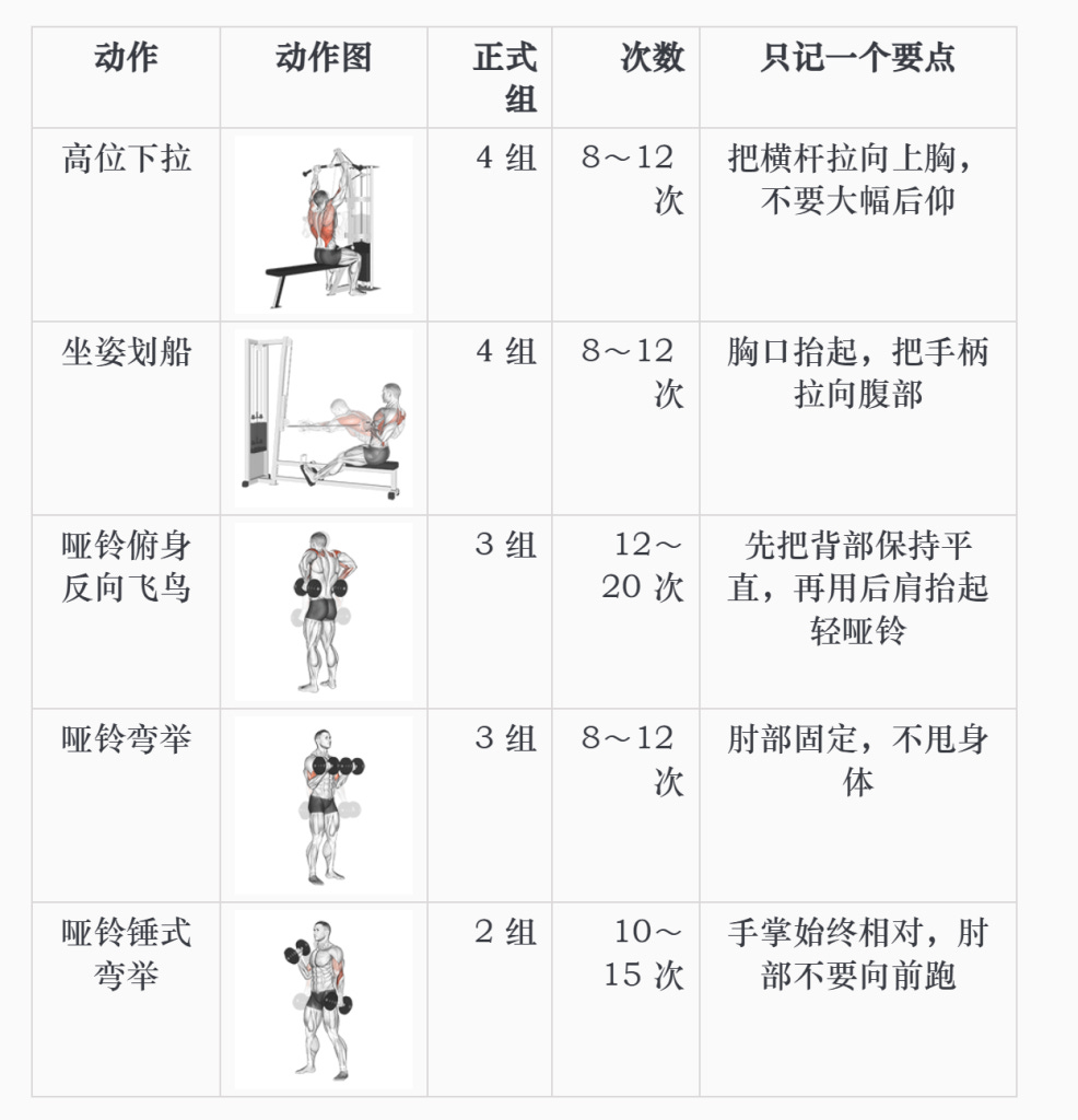 我让 Codex 制定了一套新手健身三分化计划 我让 Codex 制定了一套新手健身三分化计划