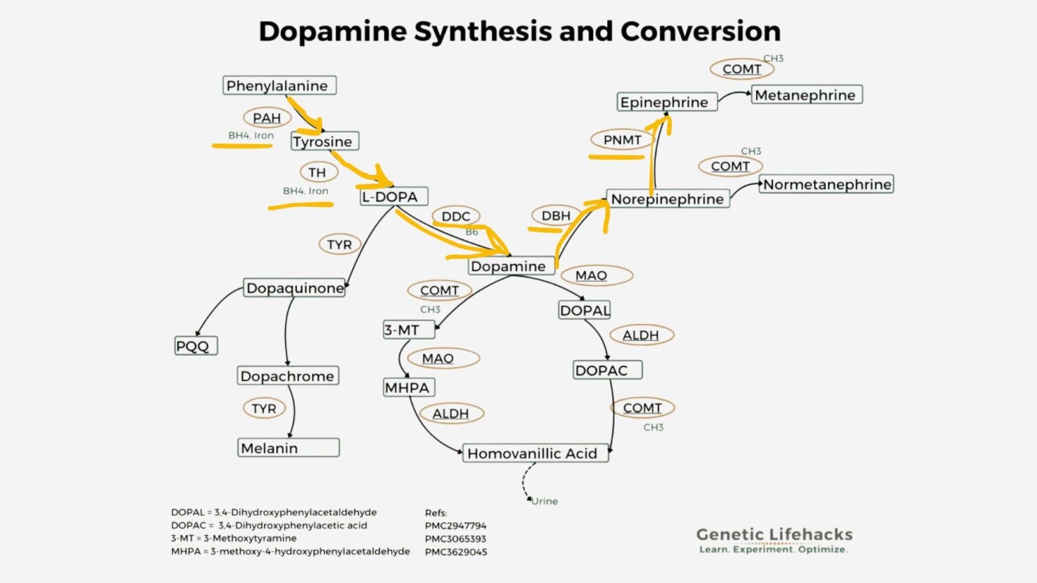Article content Article content