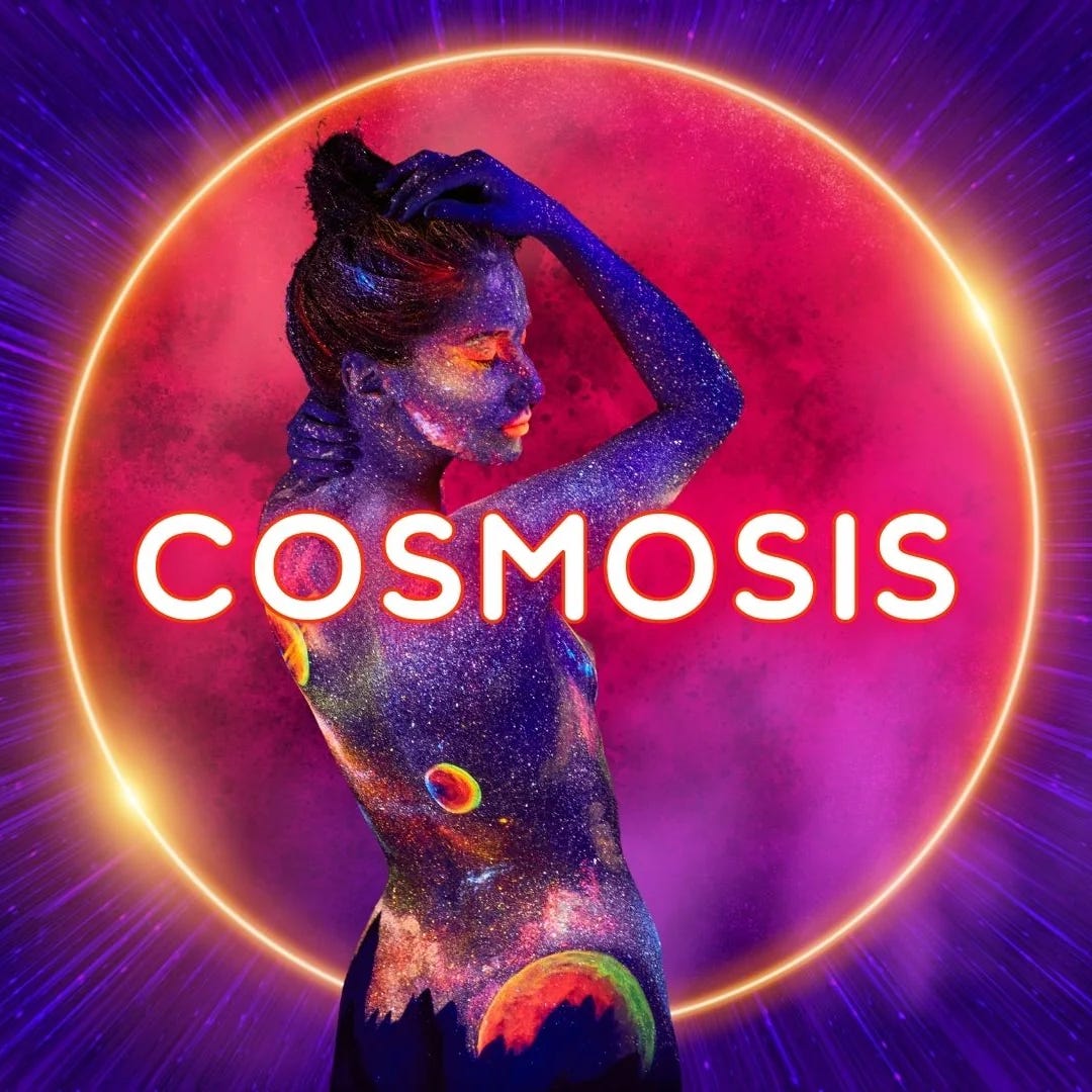 Cosmosis
