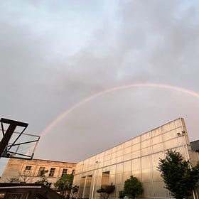 【正在游民】我们在DNA这团“羊水”中，经历烈日梅雨后看见彩虹