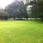 Designing shrub borders