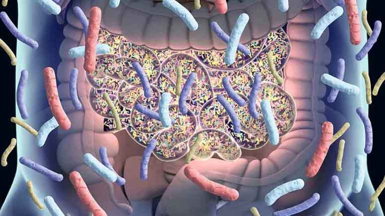 alzheimers butyrate