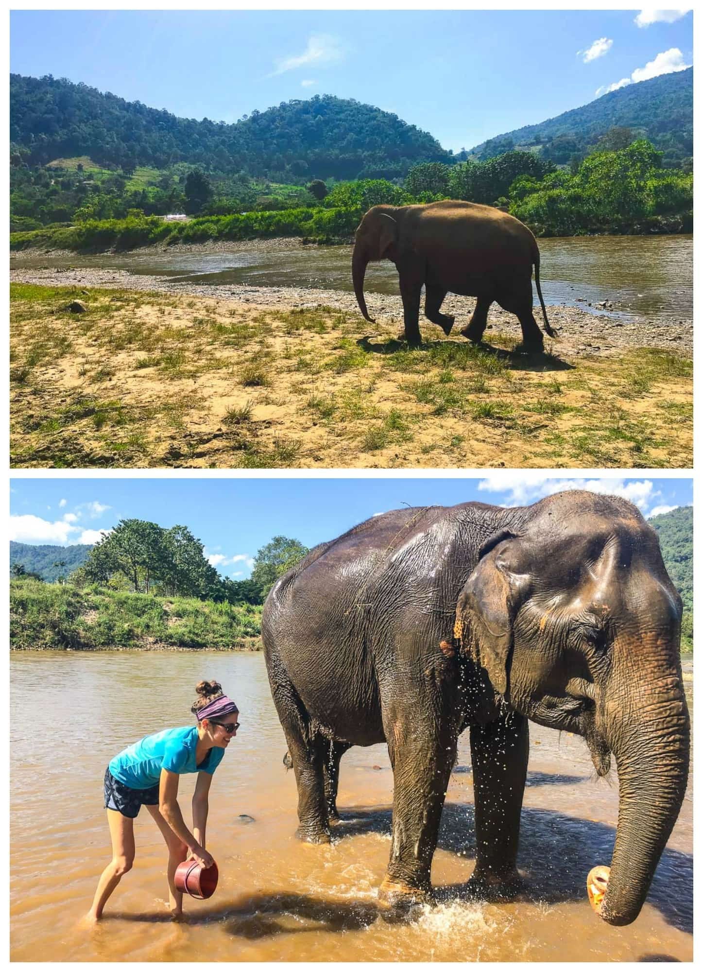 Elephant nature park