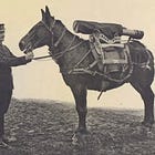 Mountain Guns in 1919