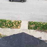 Exploding Unicorn by James Breakwell