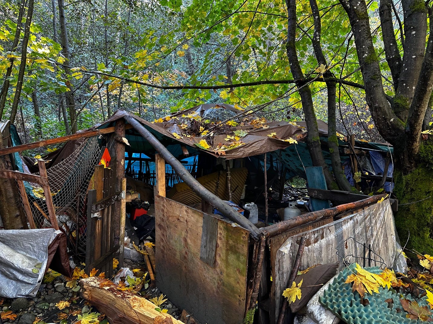 A shack in the woods
Description automatically generated A shack in the woods
Description automatically generated