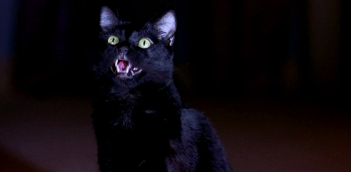 This may contain: a black cat with green eyes sitting in the dark