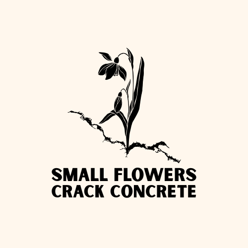 Artwork for Small Flowers Crack Concrete