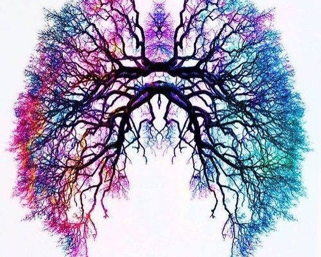 How to Breathe - Thrive Physical Therapy