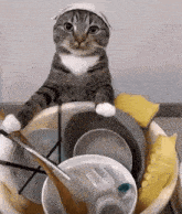 a cat wearing a bandana sits in a bowl of dirty dishes