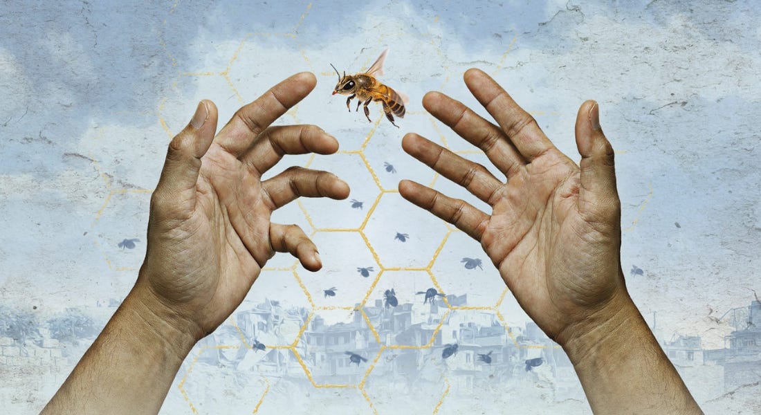 A pair of hands with a bee in the middle and a blue background