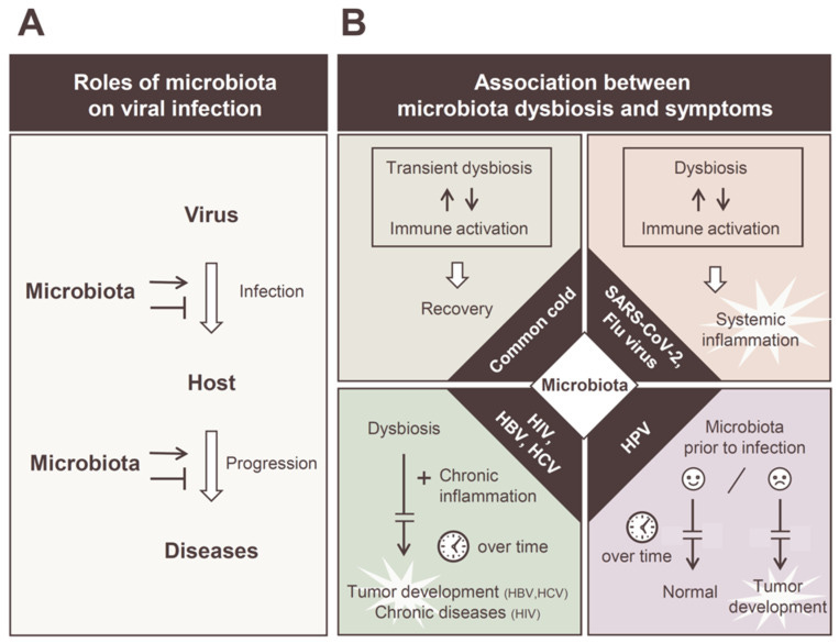 An external file that holds a picture, illustration, etc.
Object name is viruses-14-00950-g001.jpg An external file that holds a picture, illustration, etc.
Object name is viruses-14-00950-g001.jpg