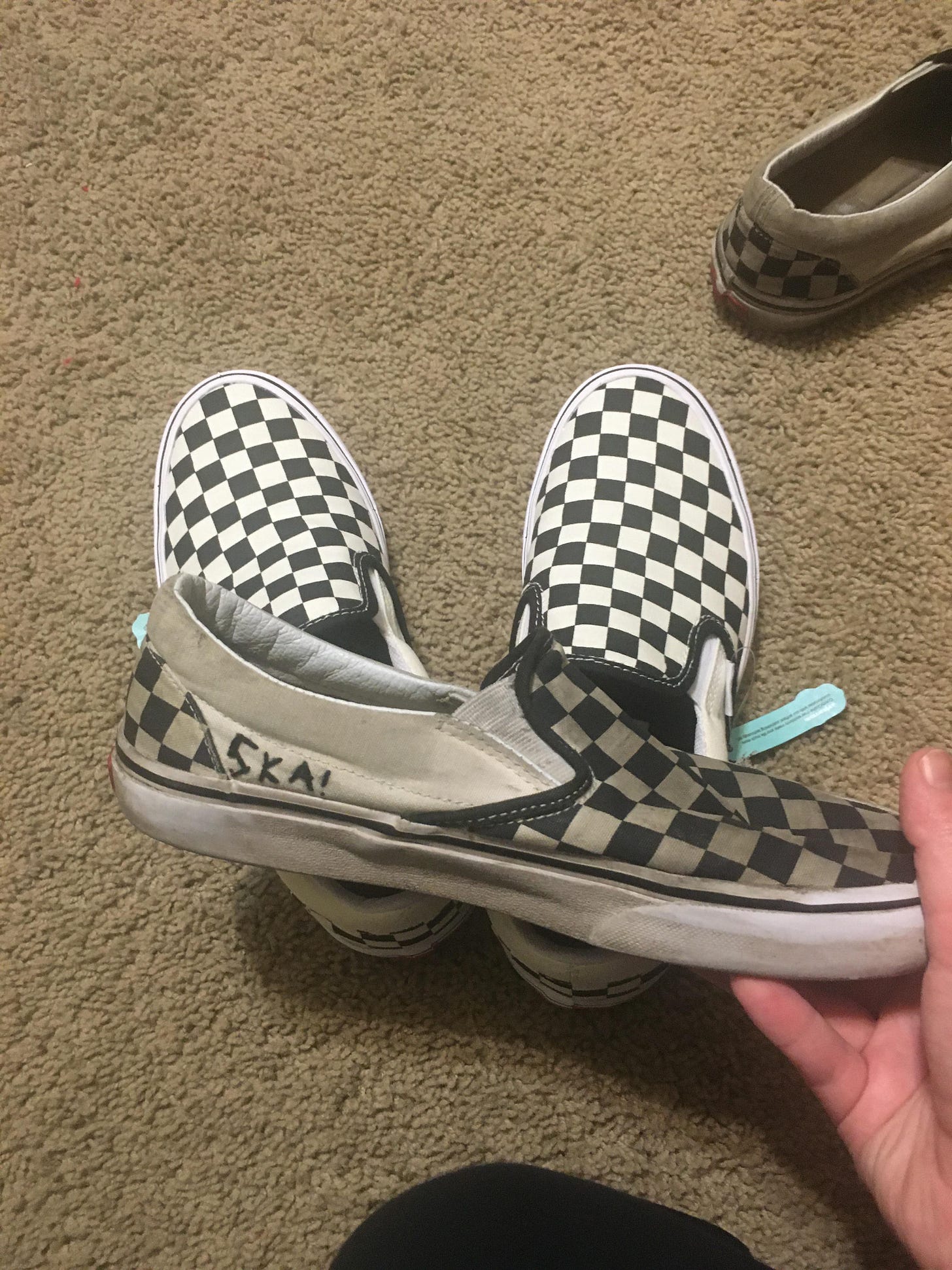 Old vs. new checked Vans. Seen a lot of shows. : r/Ska Old vs. new checked Vans. Seen a lot of shows. : r/Ska