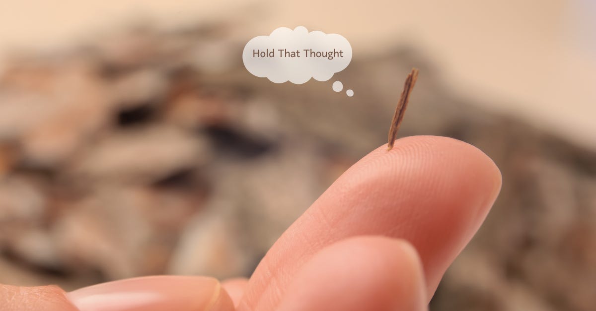 Close-up of fingertip with splinter. Hold That Thought bubble.