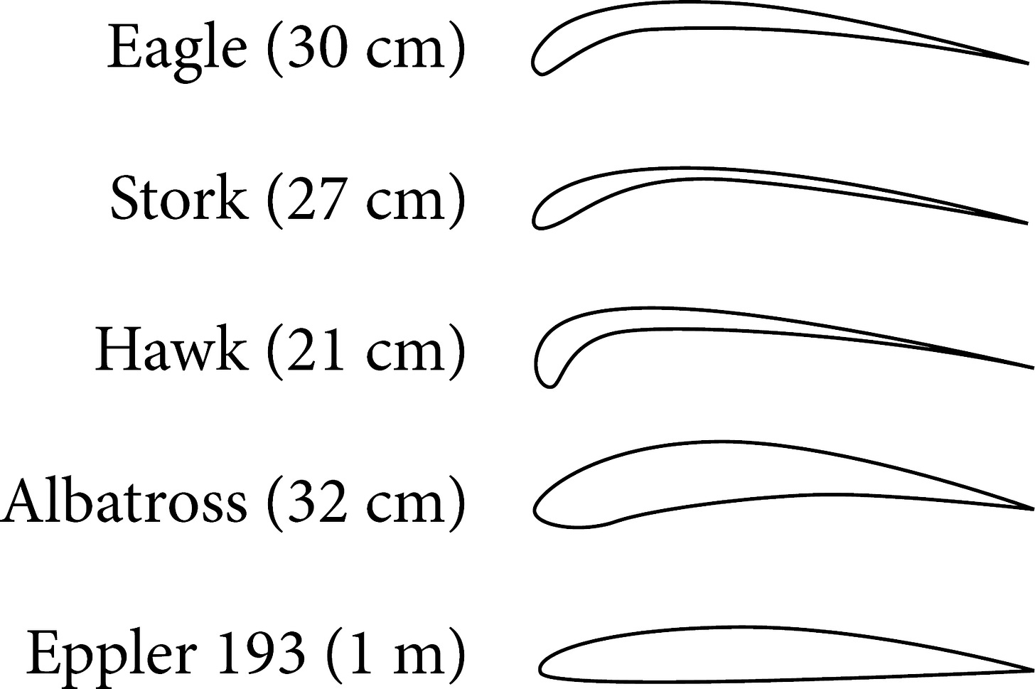SciELO Brazil - Numerical Investigation on Aerodynamic Performance of Bird's  Airfoils Numerical Investigation on Aerodynamic Performance of Bird's  Airfoils