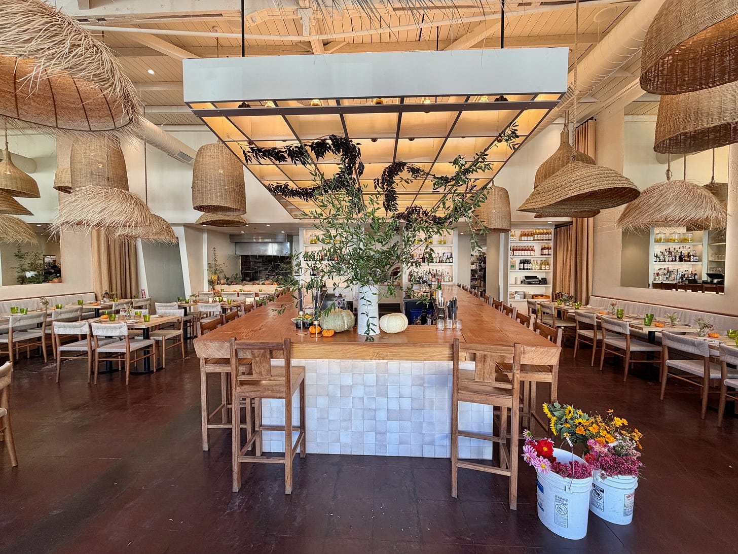 IMG_2363.jpeg IMG_2363.jpeg