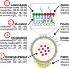 Problemzonen der Lipidnanotechnologie