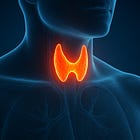 The Inner Fire: Thyroid Repletion and the Secret to Vitality (Complete Guide) 