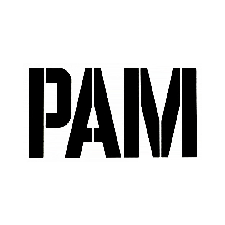 Benno Wissing's 1965 logo for Dutch oil, gas and petrol brand PAM