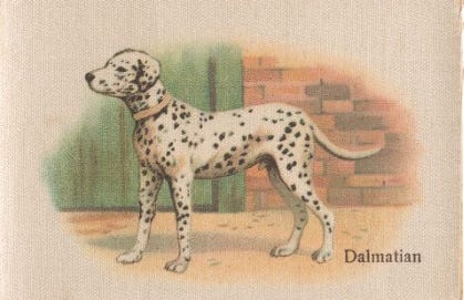 Is It Wrong To Buy A Dog? Navigating the Moral Minefield of Choosing a Breeder Over a Shelter