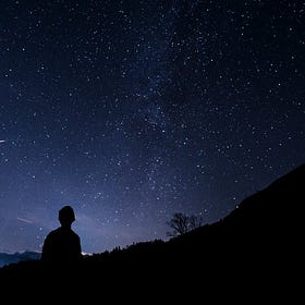 The Stars, Our Destination?