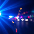 Georgian Bluffs Man Charged After Police Say He Fled Arrest and Stole Vehicle