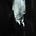 Tareq Haddad's avatar